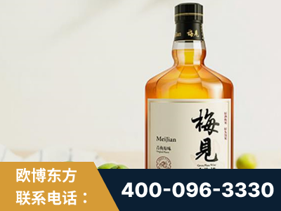 牡丹江-梅见青梅酒